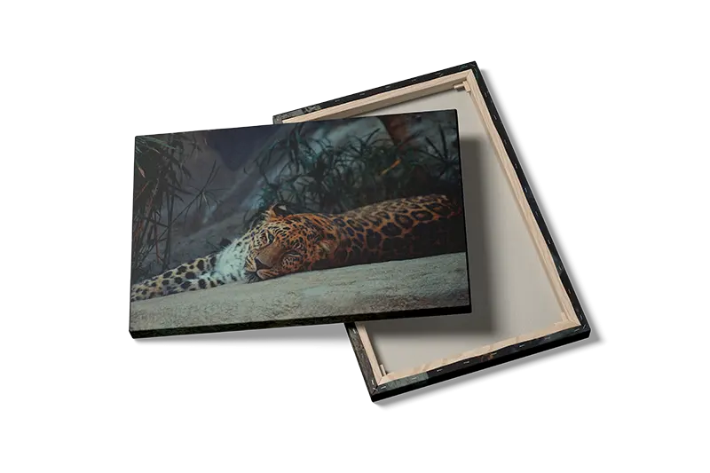 Kat Resting Jaguar Plakat