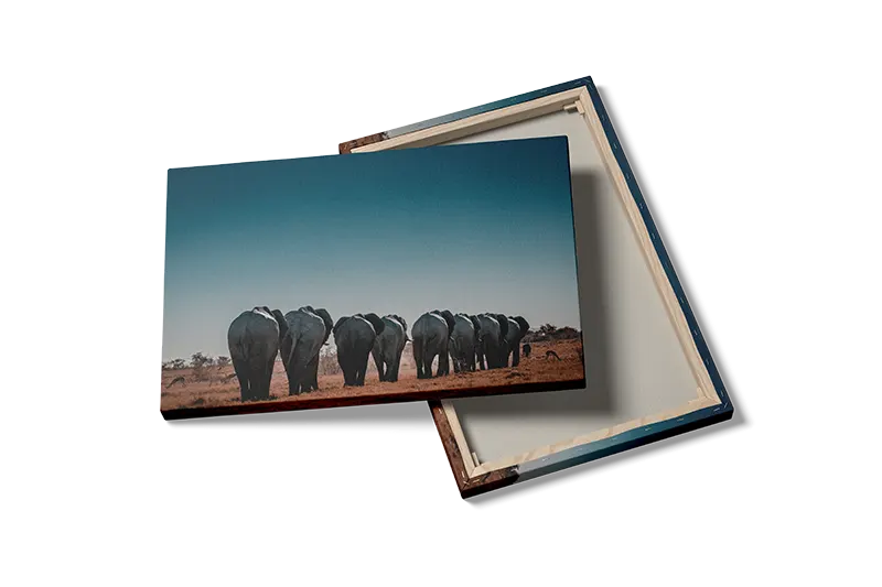 Elephant Herd Plakat