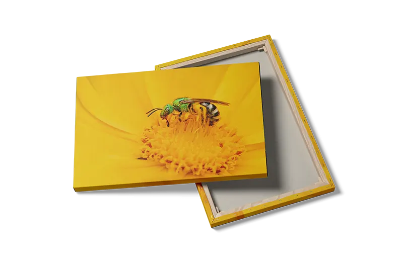 Green Bee Plakat