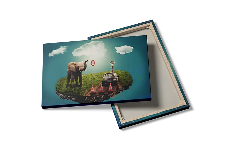 Elephant And Giraffe Plakat