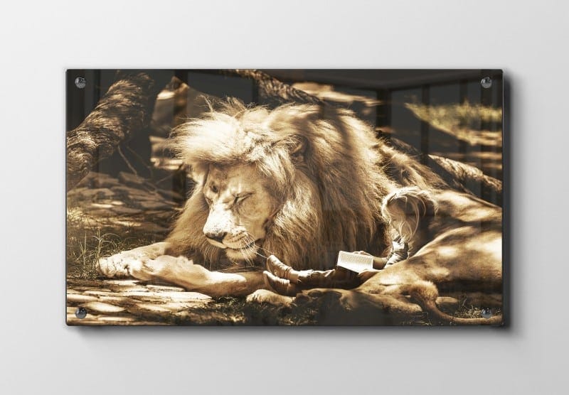 Lion Resting I Plakat
