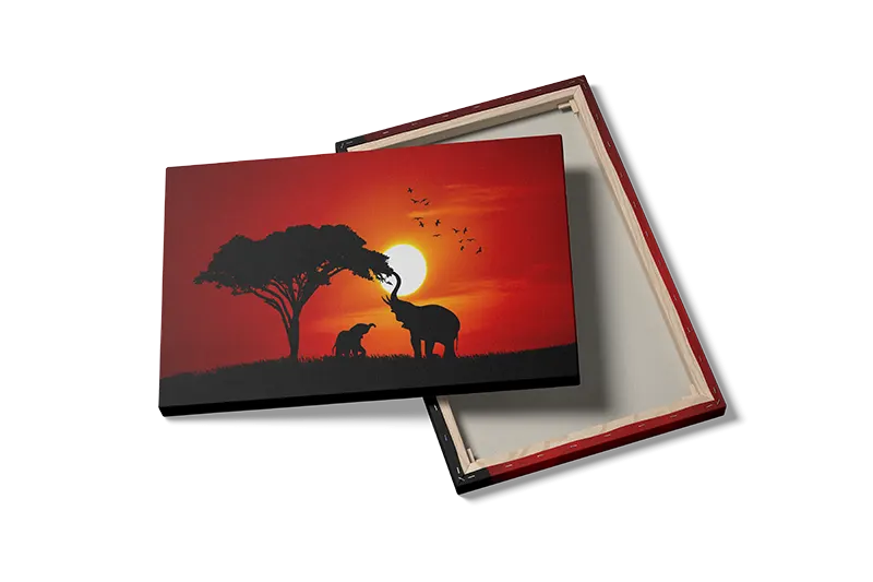 Elephant Sunset I Plakat