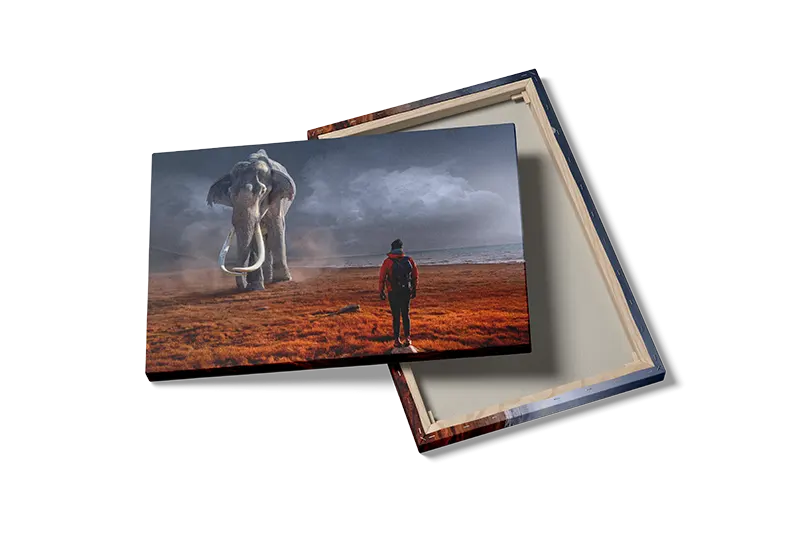 Elephant Encounter Plakat