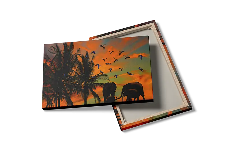 Elephant Family Sunset Plakat