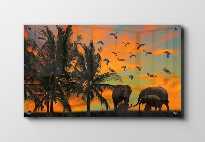 Elephant Family Sunset Plakat