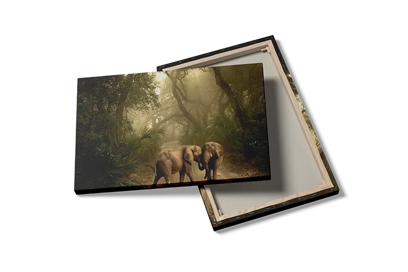 Elephant Forest Path Plakat