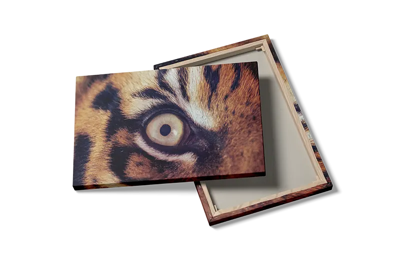 Tiger Eye Plakat