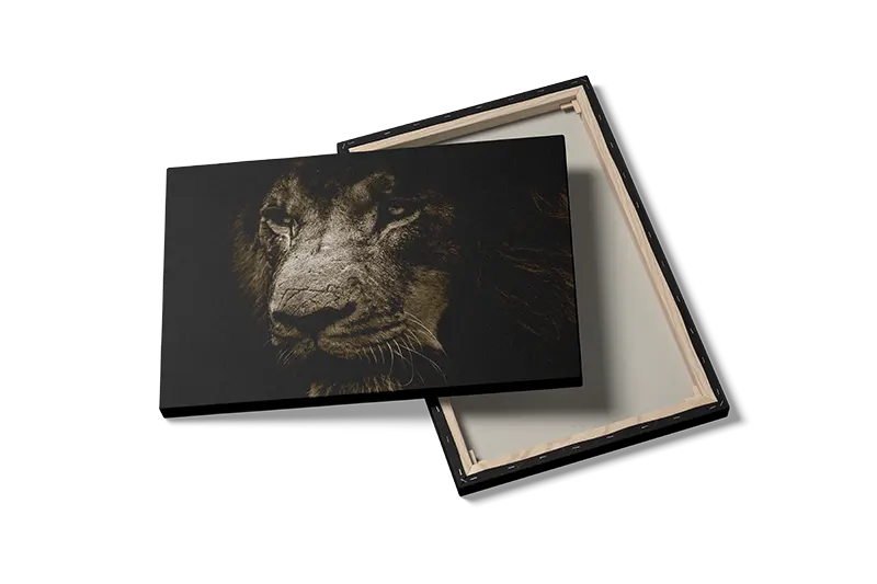 Lion Closeup Plakat