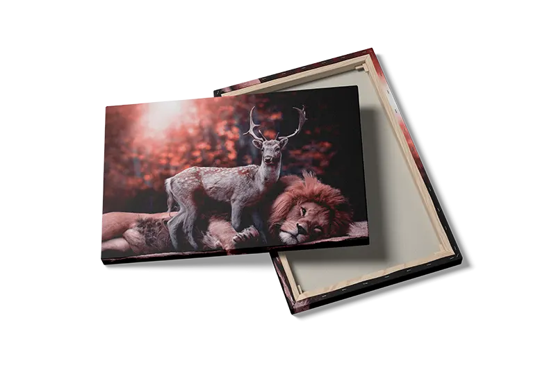 Lion And Deer Plakat