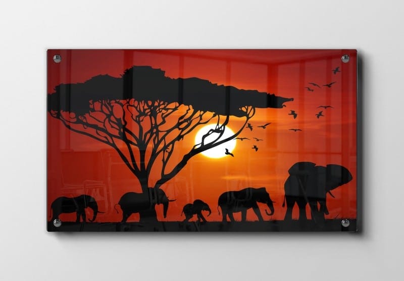 Elephant Sunset Silhouette Plakat