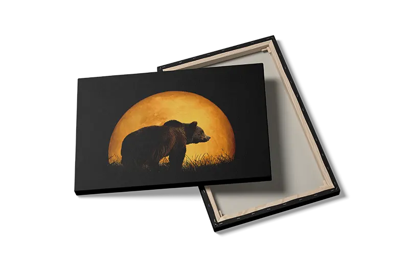 Brown Bear Moonlight Plakat