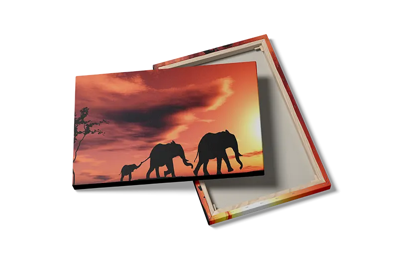 Elephant Family I Plakat