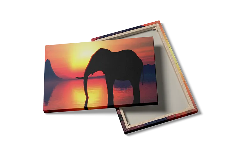 Elephant At Sunset Plakat