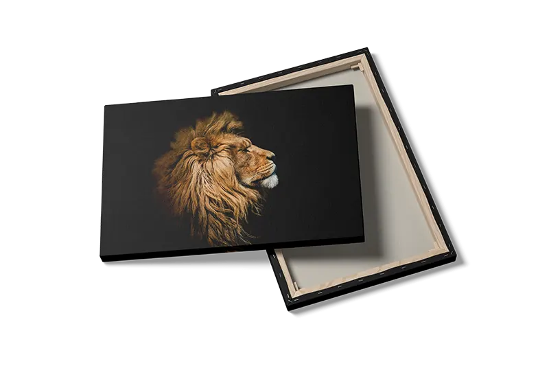 Lion Profile No4 Plakat