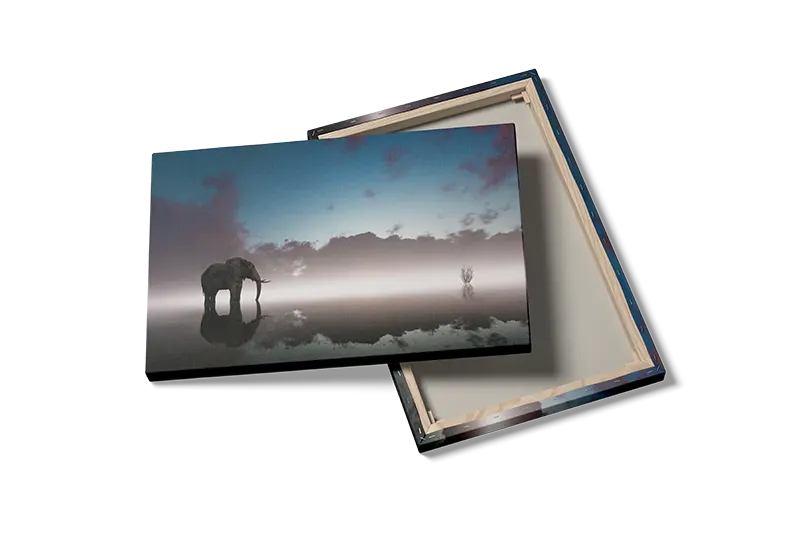 Elephant Reflection Plakat