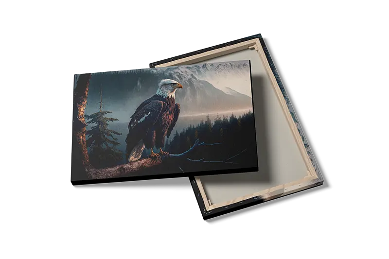 Bald Eagle Plakat
