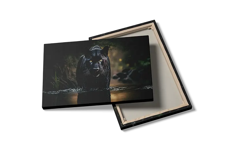 Black Panther Water Plakat