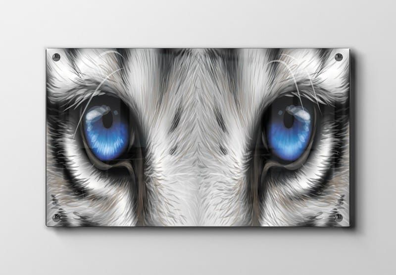 White Tiger Eyes Plakat