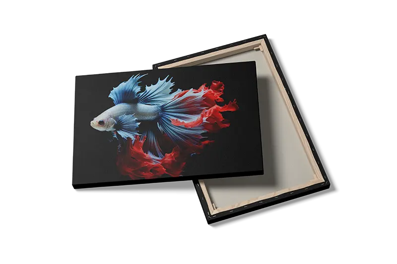 Betta Fish Plakat