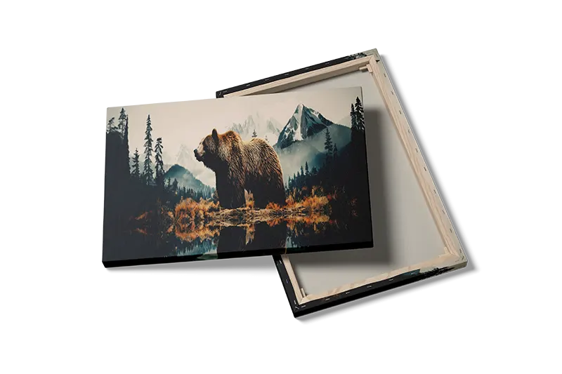 Grizzly Bear Reflection Plakat