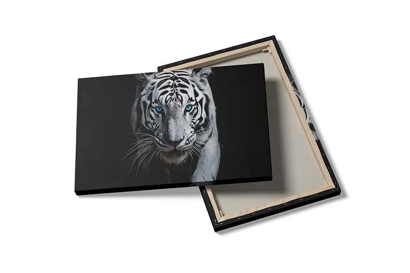 White Tiger I Plakat