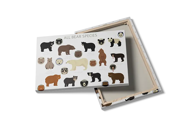 All Bear Plakat