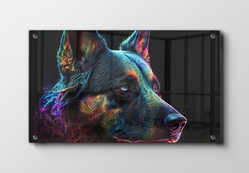 Australian Cattle Plakat