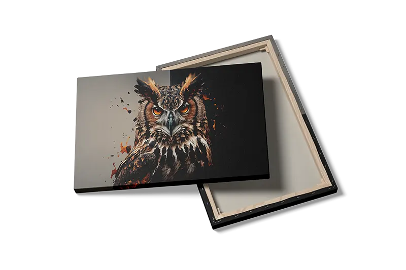 Owl Split Background Plakat