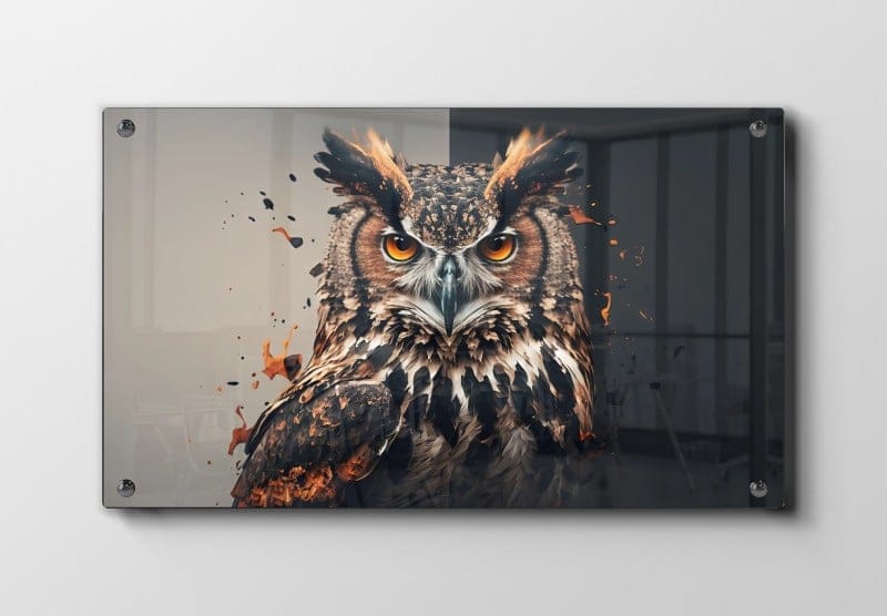 Owl Split Background Plakat