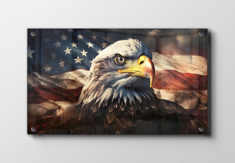 Bald Eagle Close Up Plakat