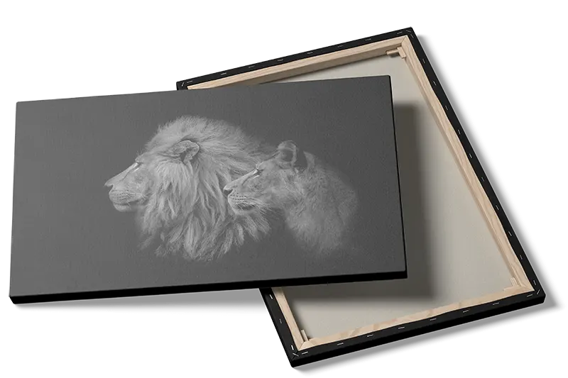 Lion Couple Plakat