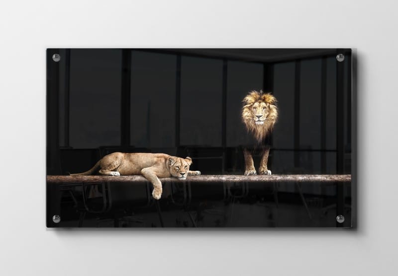 Lion Couple I Plakat