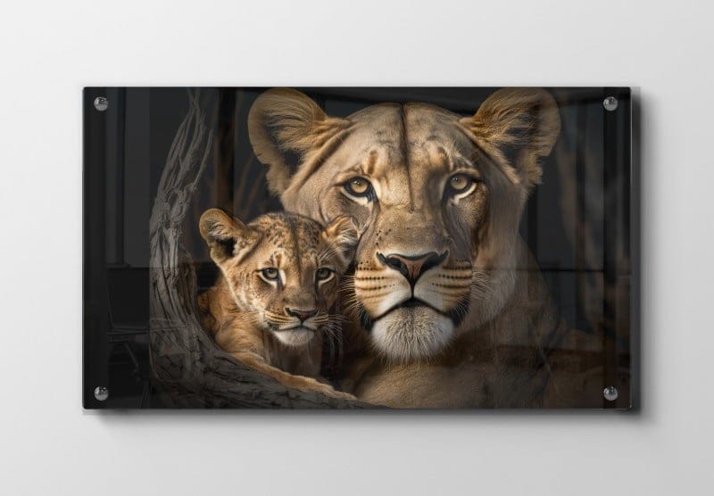 Lioness With Plakat