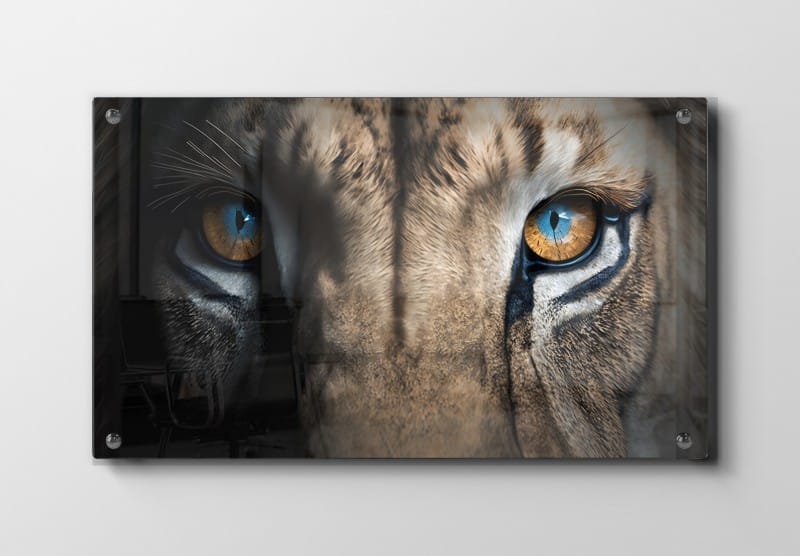 Lion Eyes Plakat