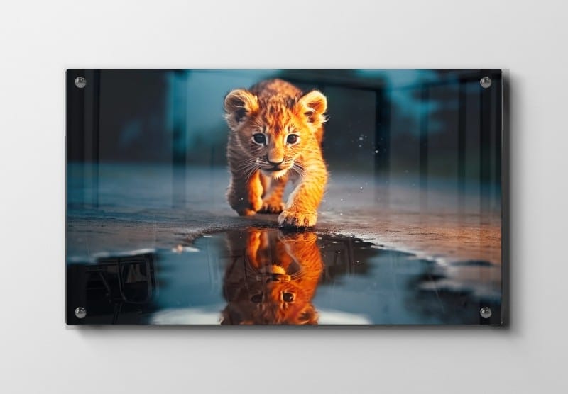 Lion Cub Plakat