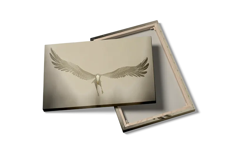 Fugl Flying Crane Plakat