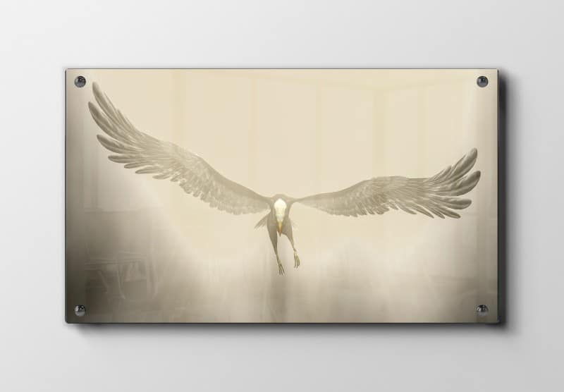 Fugl Flying Crane Plakat