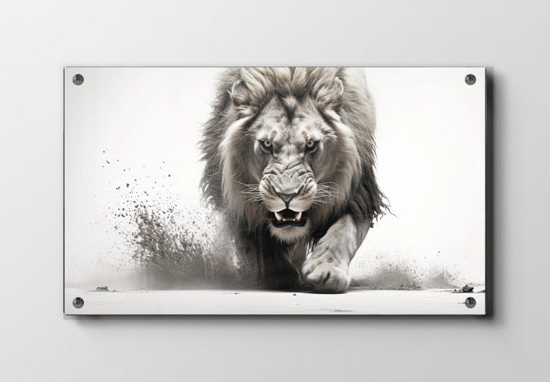 Lion Charging Plakat