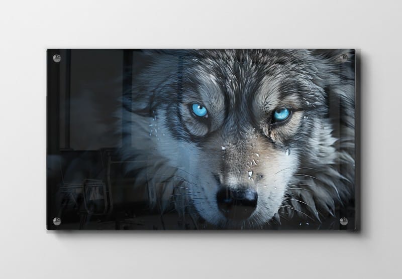 Wolf With Blue Eyes Plakat