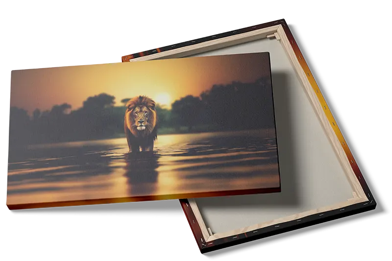 Lion At Sunset Plakat