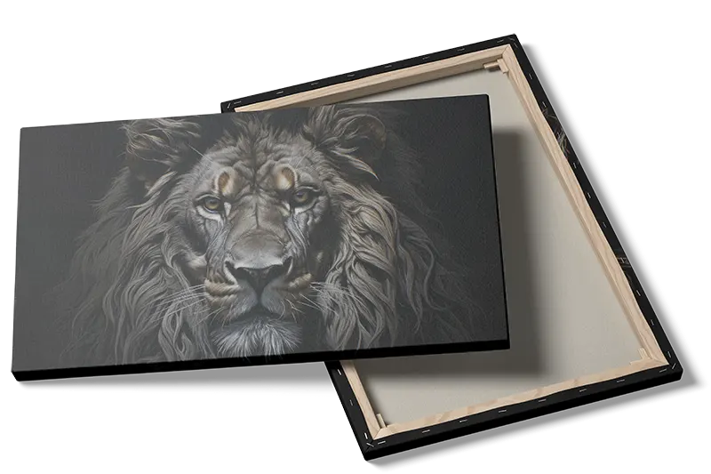 Lion Dark Background Plakat