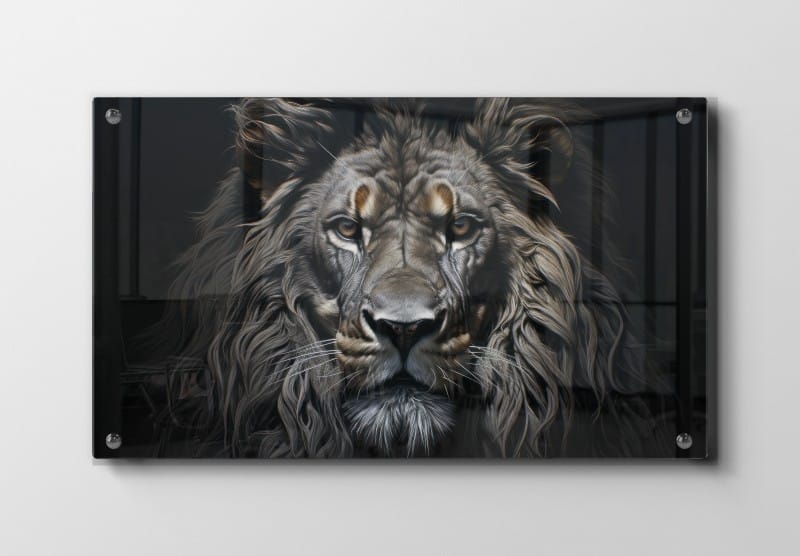 Lion Dark Background Plakat