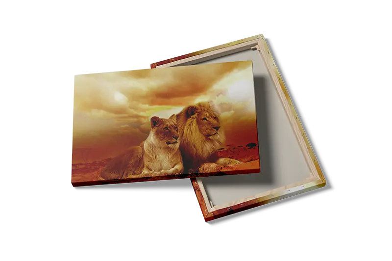 Lion Couple Sunset Plakat