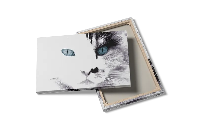 Blue Eyed No2 Plakat