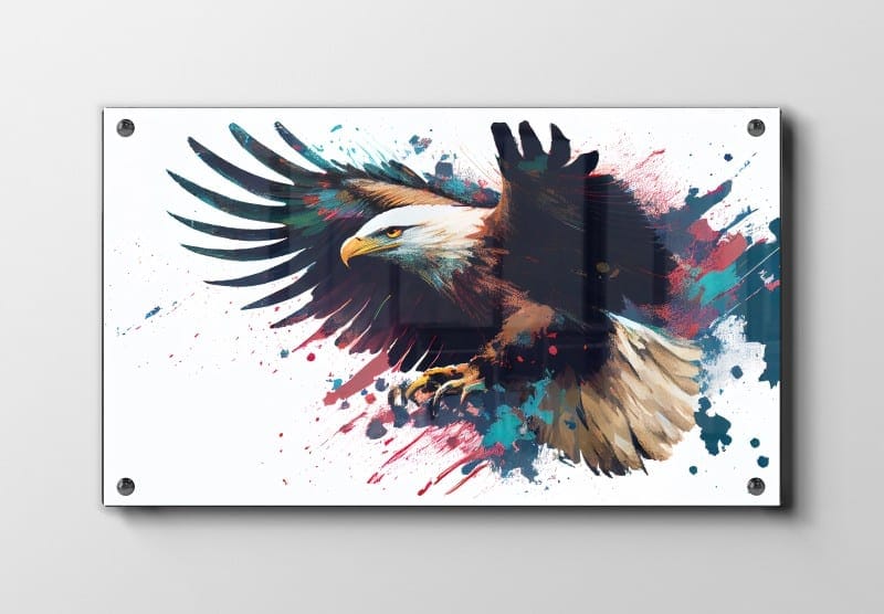 Bald Eagle Flight No2 Plakat