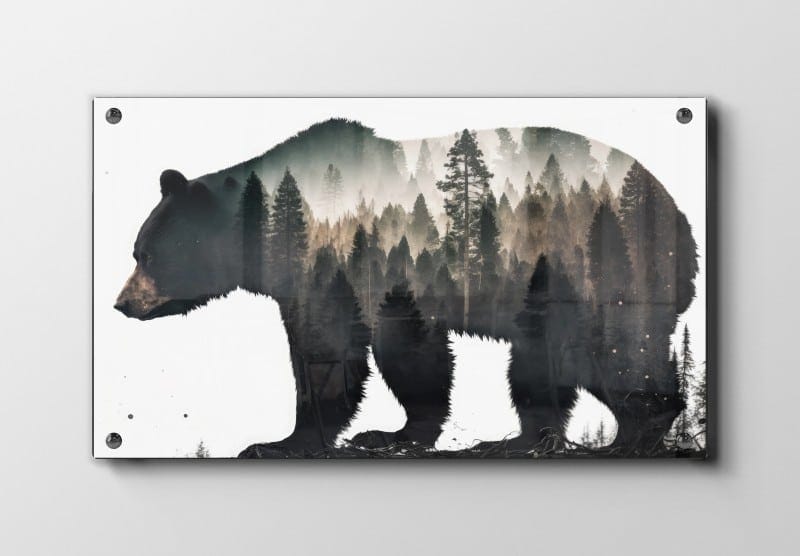 Black Bear Plakat
