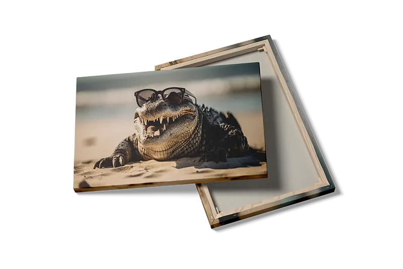 Kat Alligator Plakat