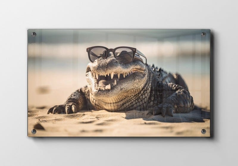 Kat Alligator Plakat