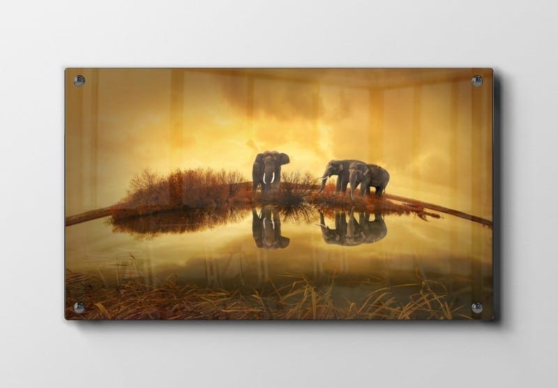 Elephants At Dusk Plakat