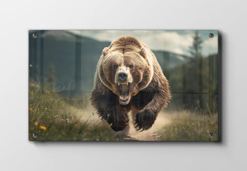 Grizzly Bear Charging Plakat